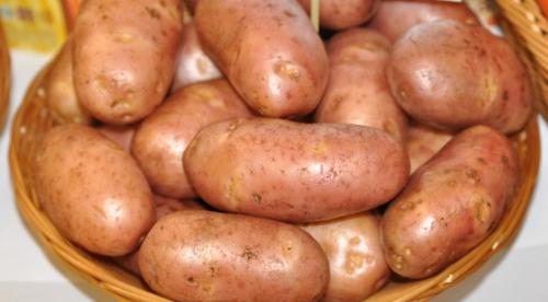 ТОП-10 сортов картофеля сезона 2021. Лучшие ранние сорта картофеля 05