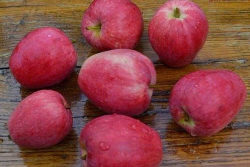 Яблони с яблоками. Лучшие сорта яблок: фото, названия и описания (каталог)