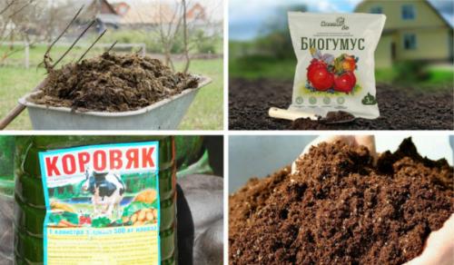 Компост для гортензии. Органические удобрения