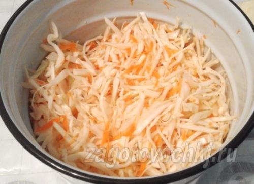 Капуста с яблочным уксусом на зиму. Маринованная капуста с яблочным уксусом быстрого приготовления 05