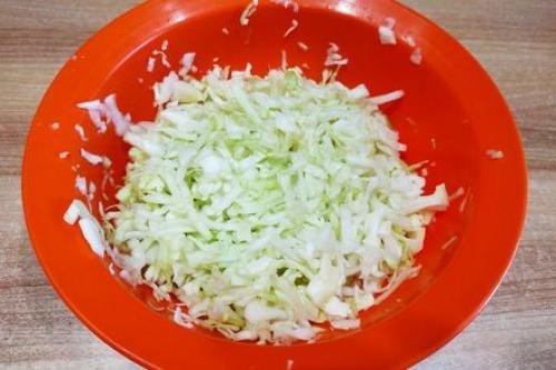 Салат из капусты с яблочным уксусом. Витаминный салат из свежей капусты, моркови и яблока