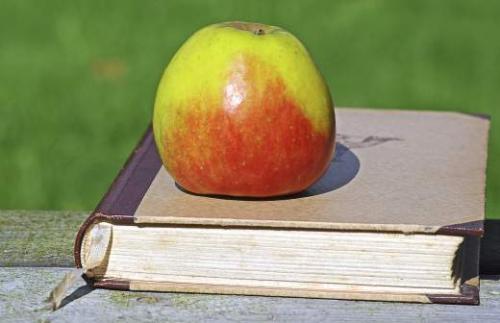 Чем полезен гранат в период беременности: полезные свойства и рекомендации 01 Чем полезен гранат в период беременности: полезные свойства и рекомендации 01