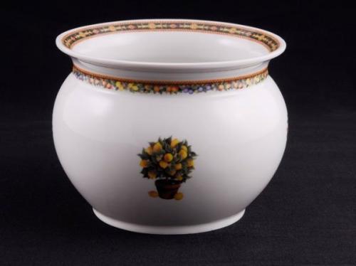 Как пересадить лимон в другой горшок в домашних условиях. Почему пересадка лимона понадобилась в вашем случае? 16