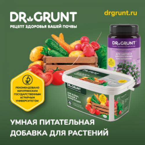 Сколько растет лимон из косточки. 7 главных правил выращивания деревца лимона из косточки в домашних условиях