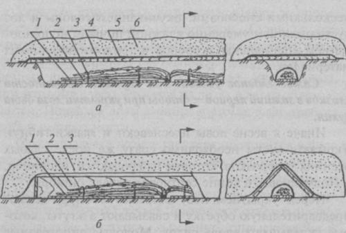 Как защитить молодые виноградные лозы от морозов. Использование плёночных укрытий для защиты винограда