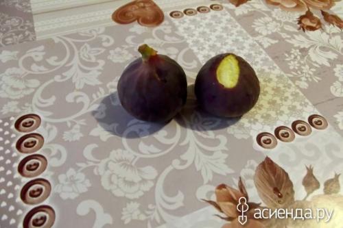 Варенье из инжира форум. Инжир. Варенье из инжира.