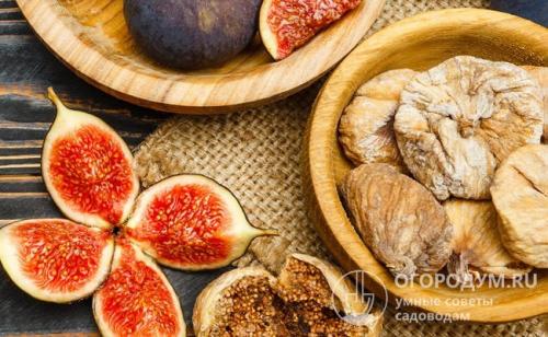 Варенье из инжира без варки. Рекомендации по выбору и подготовке исходного сырья