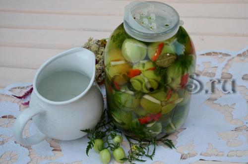 Вкусные и полезные зеленые помидоры фаршированные на зиму: рецепты и советы 12 Вкусные и полезные зеленые помидоры фаршированные на зиму: рецепты и советы 12