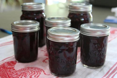 Как определить, сколько времени хранятся заготовки из черники. 20 легких рецептов черники с сахаром на зиму без варки