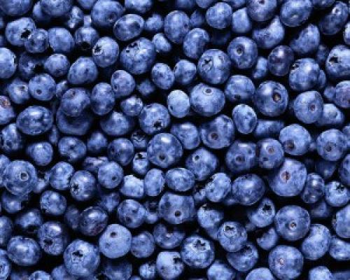 Какие ингредиенты необходимы для приготовления варенья из черники в виде желе. Желеобразное варенье из черники 5 минутка (простой и вкусный рецепт)