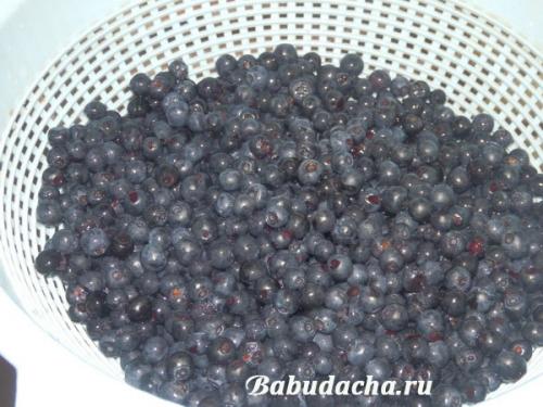 Можно ли заготавливать чернику без сахара. Черника в собственном соку без сахара — ну очень простой рецепт на зиму