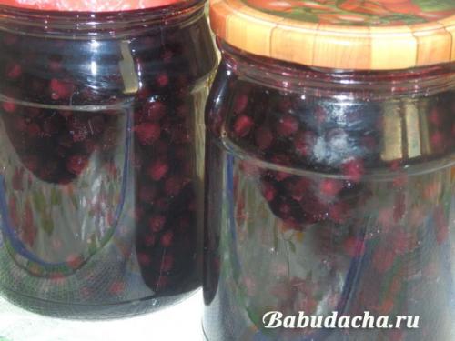 Можно ли заготавливать чернику без сахара. Черника в собственном соку без сахара — ну очень простой рецепт на зиму