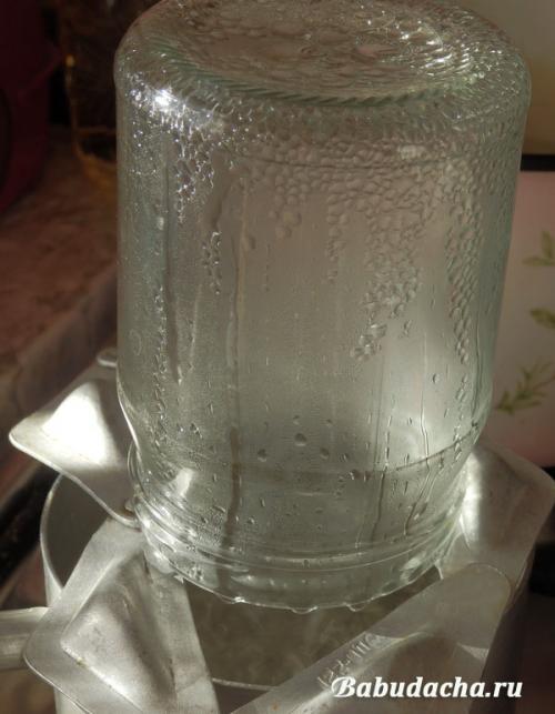 Можно ли заготавливать чернику без сахара. Черника в собственном соку без сахара — ну очень простой рецепт на зиму