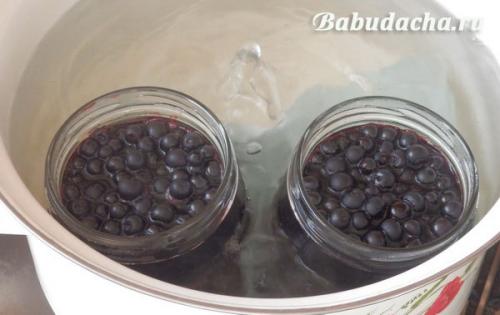 Можно ли заготавливать чернику без сахара. Черника в собственном соку без сахара — ну очень простой рецепт на зиму