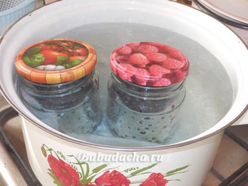 Можно ли заготавливать чернику без сахара. Черника в собственном соку без сахара — ну очень простой рецепт на зиму