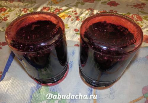 Можно ли заготавливать чернику без сахара. Черника в собственном соку без сахара — ну очень простой рецепт на зиму