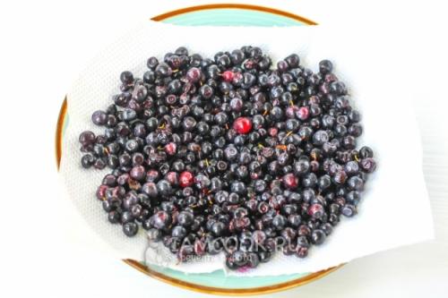 Полезные рецепты заготовки черники на зиму 19 Полезные рецепты заготовки черники на зиму 19