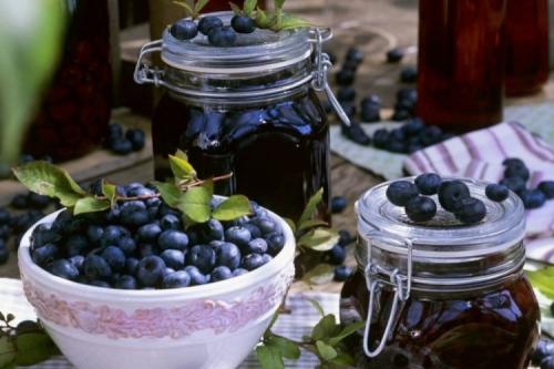 Сколько можно хранить заготовки из черники. 8 простых рецептов черники в собственном соку на зиму