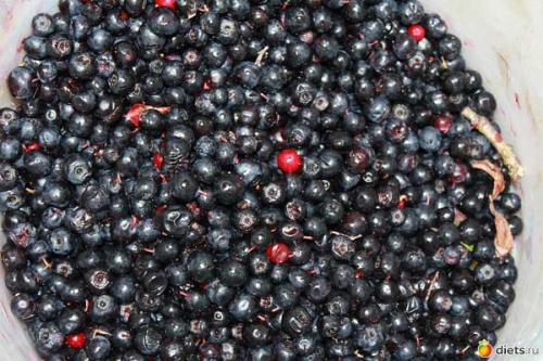 Какие полезные свойства черники сохраняются при заготовке на зиму. Описание растения