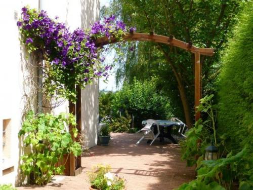 Чем быстро заплести беседку. Общие рекомендации желающим украсить забор, строения, участок.