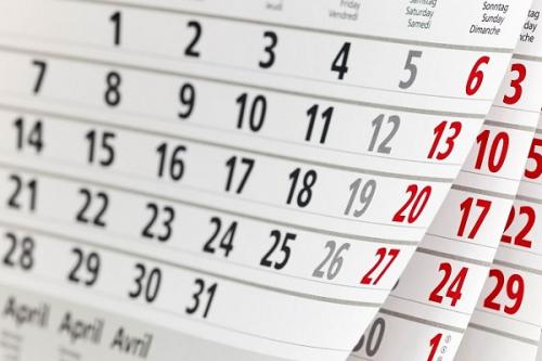 Когда сажать черную смородину весной. Весенние сроки посадки