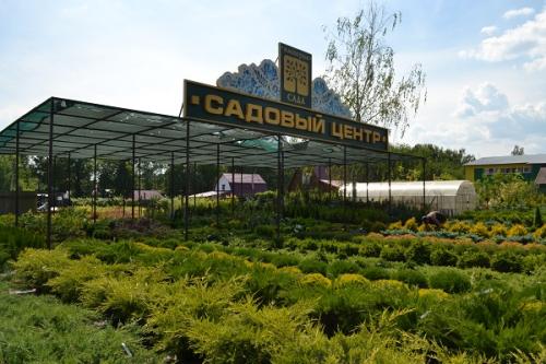 Сорт груши Десертная Россошанская. Самая сладкая груша Десертная Россошанская — насколько хорошо будут храниться плоды 11 Сорт груши Десертная Россошанская. Самая сладкая груша Десертная Россошанская — насколько хорошо будут храниться плоды 11