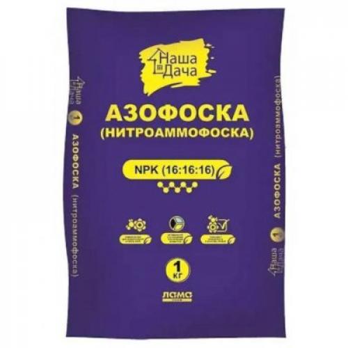 Подготовка ярового чеснока к посадке. Сроки высадки и подготовка грядки