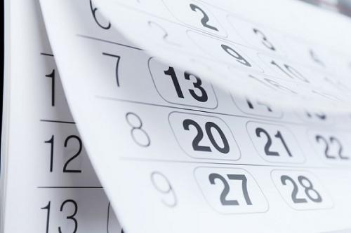 Как быстро посадить чеснок. Сроки посадки