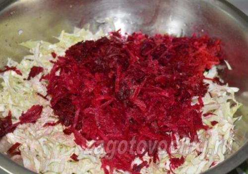 Классический рецепт заготовки борща в банках на зиму. Борщ в банках на зиму: простые рецепты приготовления 02