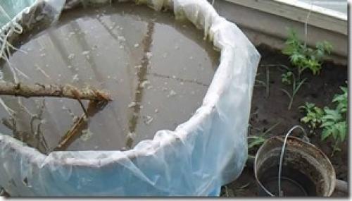 Подкормка яблонь в августе сентябре. Как правильно подкормить яблоню осенью — технология