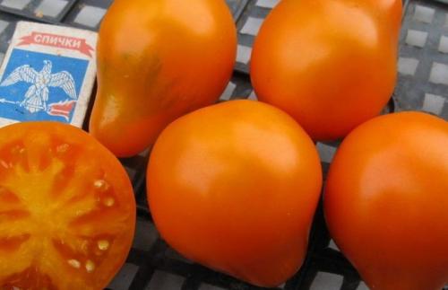 Томат Японский Трюфель розовый. Описание и характеристика сортов помидоров Японский Трюфель