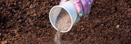 Подкормка яблонь весной. Весенняя подкормка яблонь: какие удобрения внести перед цветением