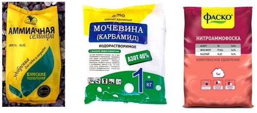 Чем подкормить яблони весной. Чем подкормить яблоню весной для хорошего урожая – важные моменты