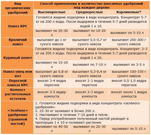 Чем подкормить яблоню. Органика