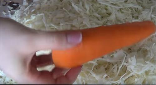 Квашеная капуста в домашних условиях. Классический рецепт квашеной капусты –, как квасить капусту в домашних условиях 11