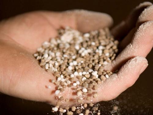 Сульфат аммония для яблони. Нормы внесения минеральных удобрений под плодовые деревья