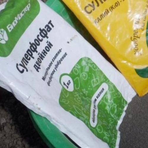 Чем подкормить яблоню весной. Правила введения весенних подкормок: что должен знать садовод 09 Чем подкормить яблоню весной. Правила введения весенних подкормок: что должен знать садовод 09