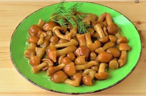 Сколько варить опята для жарки с картошкой. Варись, варись, опенок!