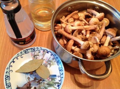 Сколько минут отваривать опята перед заморозкой. Сколько варить опята: готовим свежие или замороженные грибы 11 Сколько минут отваривать опята перед заморозкой. Сколько варить опята: готовим свежие или замороженные грибы 11