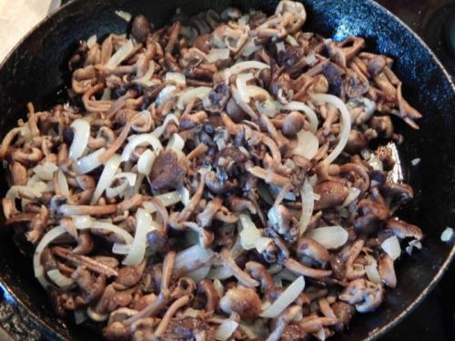 Сколько варить опята перед маринованием. Нужно ли как правильно и сколько варить опята