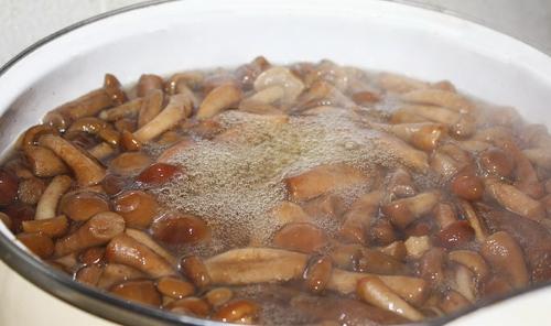 Сколько варить опята перед жаркой. Процедура отваривания опят