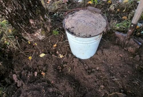 Подкормка яблонь летом. Летняя подкормка: когда и чем удобрять яблони