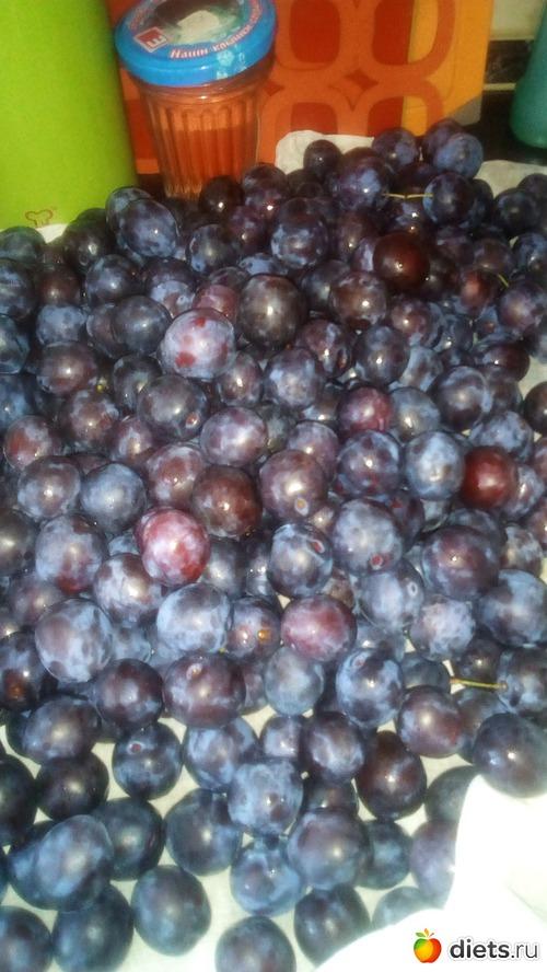 Варенье из чернослива без косточек с апельсином. Варенье из чернослива на зиму 09 Варенье из чернослива без косточек с апельсином. Варенье из чернослива на зиму 09