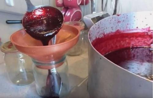 Варенье из чернослива без косточек с апельсином. Варенье из чернослива на зиму 23 Варенье из чернослива без косточек с апельсином. Варенье из чернослива на зиму 23