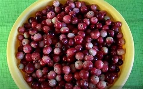 Клюква в сахаре рецепт на зиму. Клюква с сахаром на зиму — рецепты перетертой ягоды, без варки, с варкой