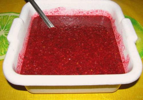 Клюква протертая с сахаром пропорции. Клюква с сахаром на зиму без варки — 5 пошаговых рецептов