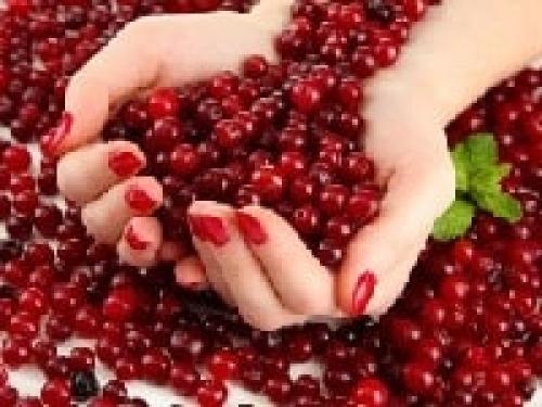 Клюква в сахаре рецепт на зиму. Клюква с сахаром на зиму — рецепты перетертой ягоды, без варки, с варкой