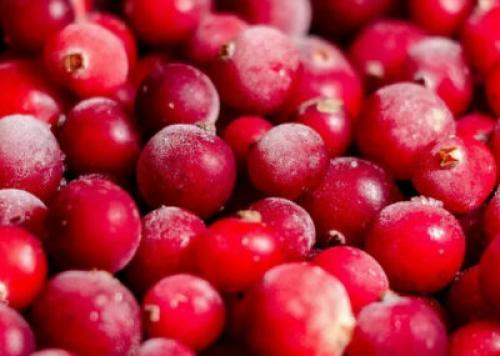 Клюква с сахаром в морозилке. Как заморозить клюкву: заготовка и хранение ягоды в морозилке