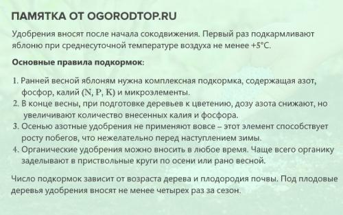Яблоня подкормки весной, летом осенью. Чем и как лучше подкармливать яблони весной, летом и осенью — полная инструкция по внесению разных удобрений