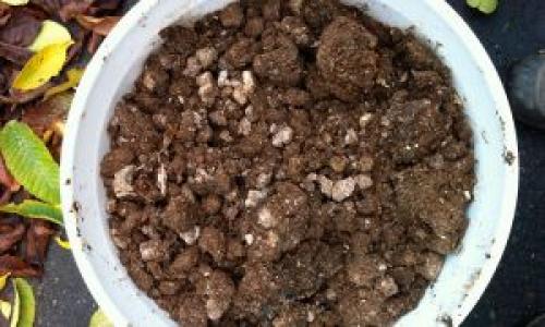 Подкормка яблонь весной до цветения. Минеральные 02 Подкормка яблонь весной до цветения. Минеральные 02